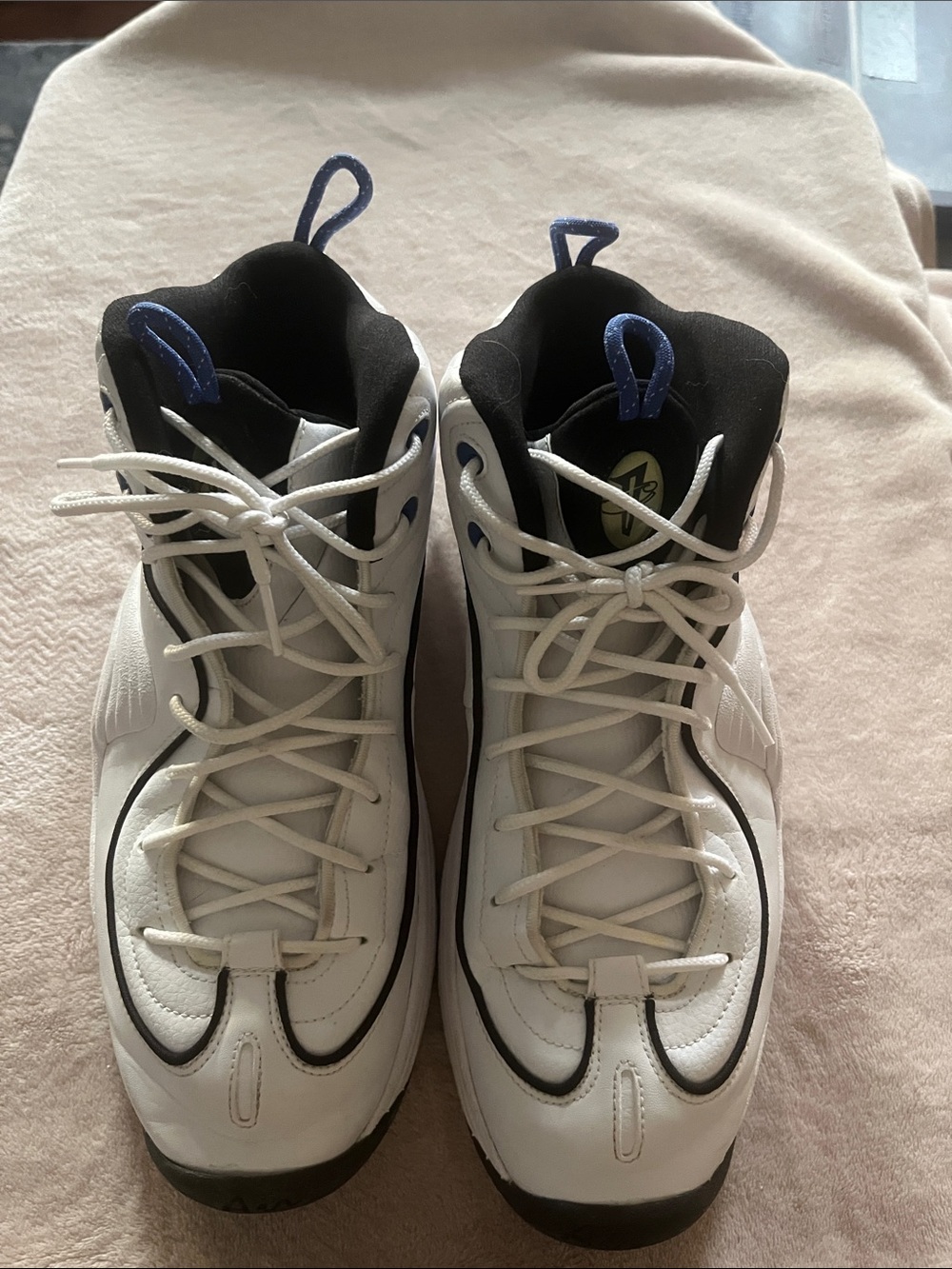 Nike Air Penny 2 "Home"
